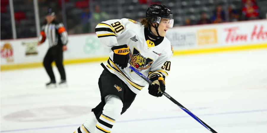 Казахстанский хоккеист отметился голевым действием в плей-офф канадской лиги