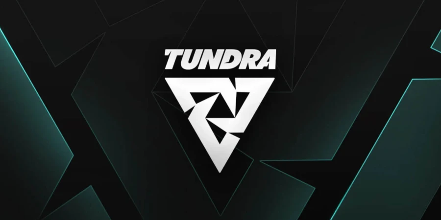 «Мы не планируем собирать или подписывать составы ни в одной из дисциплин» — Tundra Esports