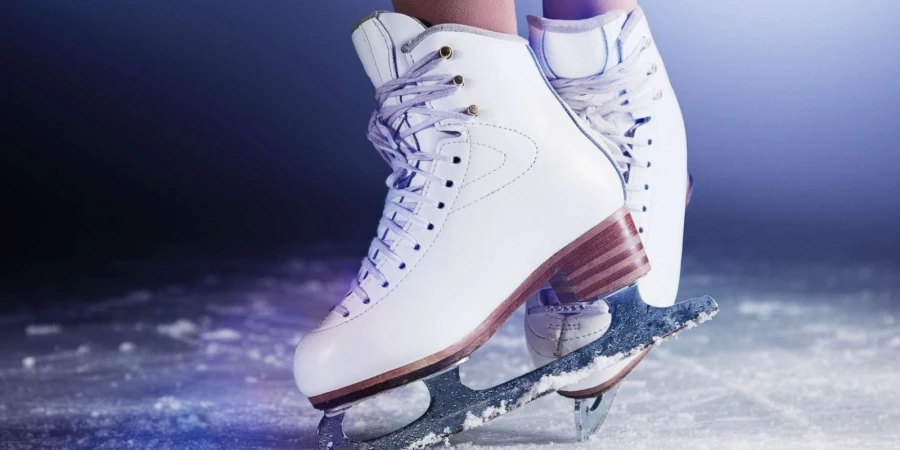 Қазақстандық мәнерлеп сырғанаушылар Asian Figure Skating Youth Camp лагеріне қатысады
