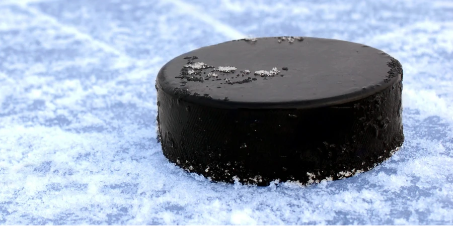 Сборная Словакии рассматривается в качестве восьмого участника Кубка мира по хоккею 2028 года