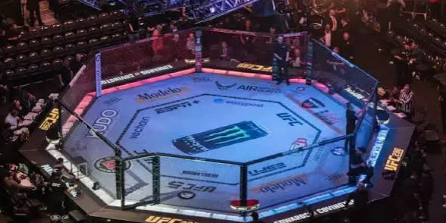 UFC назвал города, где пройдут заключительные номерные шоу года