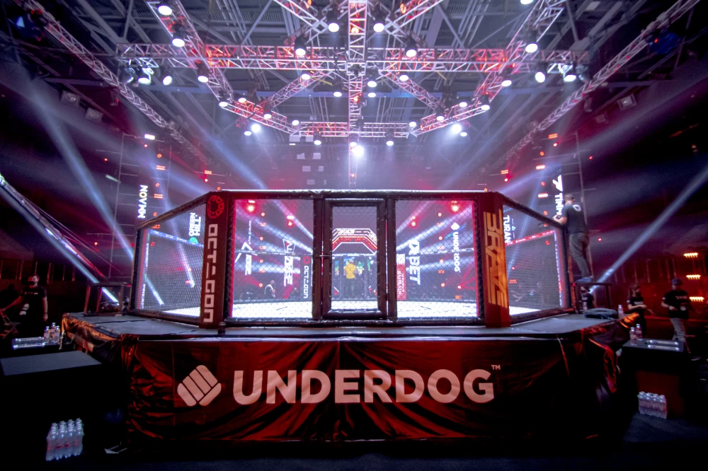 Стремительным нокаутом завершился бой на OCTAGON 79