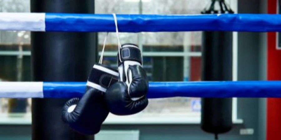 Бокс ардагерлері ұлттық құраманың жаңа бапкеріне сәттілік тіледі