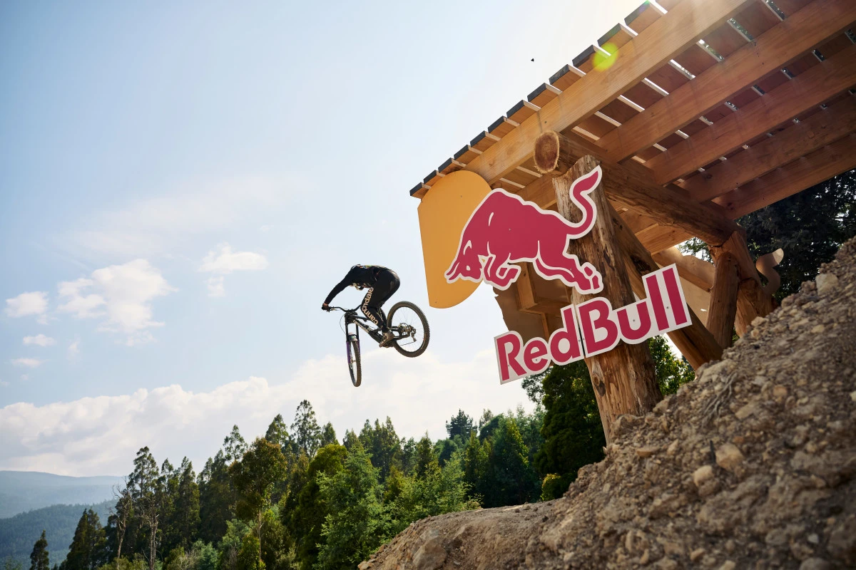 Энергия движения: как энергетические бренды развивают спорт по всему миру