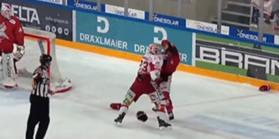 Рукопашная на льду: лига Германии умеет удивлять