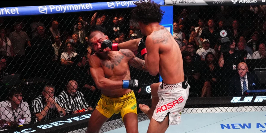 В США предложили изменить правила MMA и запретить один из ударов