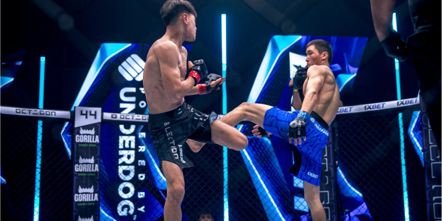 Казахстанский боец отпраздновал досрочную победу в ММА