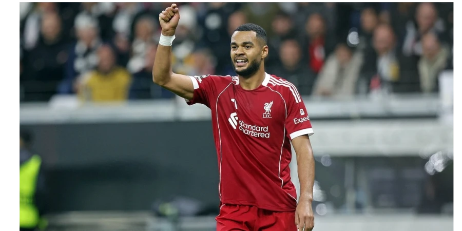 Прямая трансляция матча Лидс — Ливерпуль в АПЛ