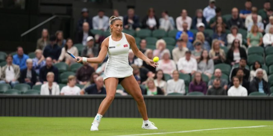 Запугивания спортсменок игроками на ставках становятся нормой