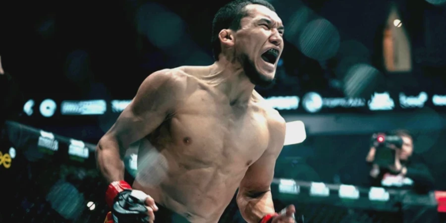 Полное видео боя Алиби Идрис vs Ройберт Эчеверриа в девятой й серии The Ultimate Fighter 33
