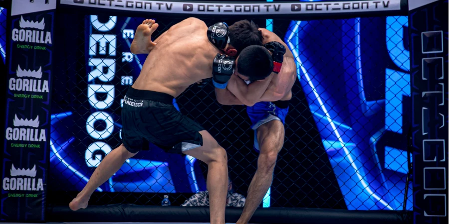 Удушением завершился бой казахстанца на турнире OCTAGON