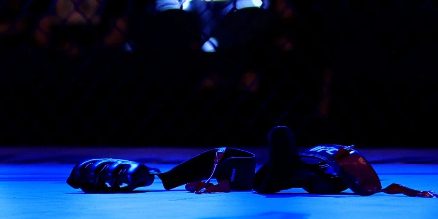 Назван список участников турнира UFC on ESPN 70 в Теннесси