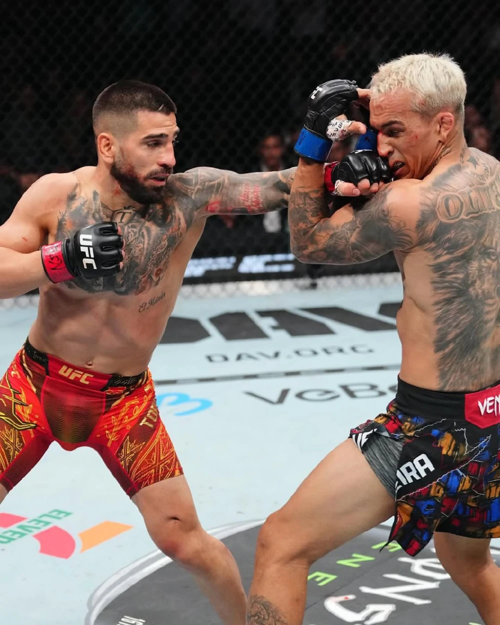 Видео нокаута в титульном бою Топурия — Оливейра на UFC 317