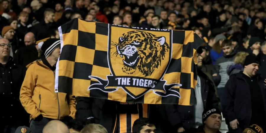 В Англии матч дважды останавливался из-за белки на поле. ВИДЕО