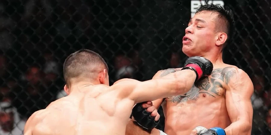 Появились судейские записки боя Асу Алмабаев - Хосе Очоа в UFC