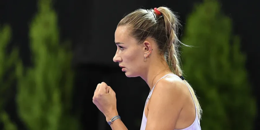 Российская теннисистка сообщила, сколько денег получает от WTA в декретном отпуске