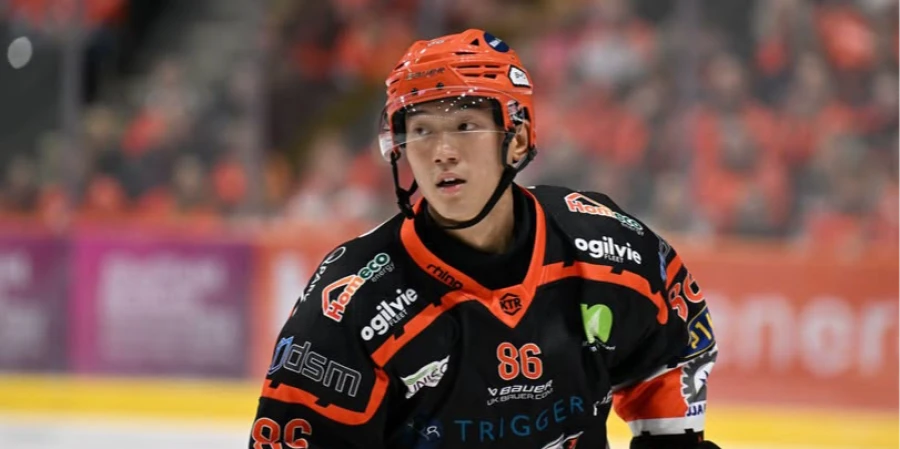 Выступавший за клубы КХЛ хоккеист признался в совершении преступления