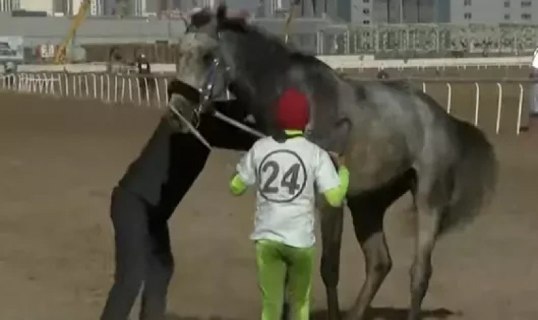 Спортивного коня загнали до смерти на турнире в Нур-Султане