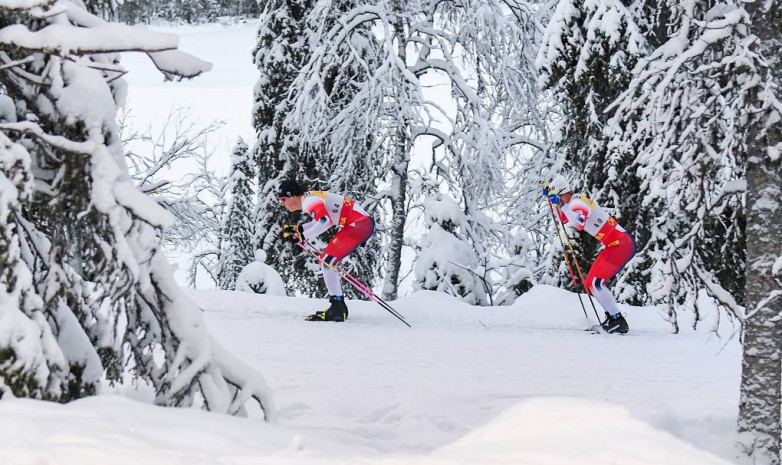 Сборная Норвегии не будет участвовать в этапах Кубка мира по лыжным гонкам до конца 2020 года