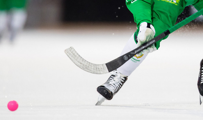 Чемпионат мира по хоккею с мячом в Иркутске перенесен на 2022 год