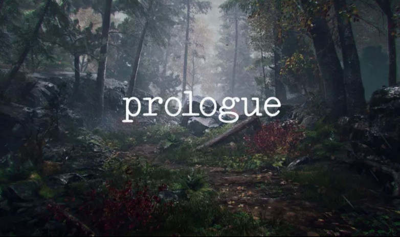 Брендан Грин рассказал о своей новой игре prologue