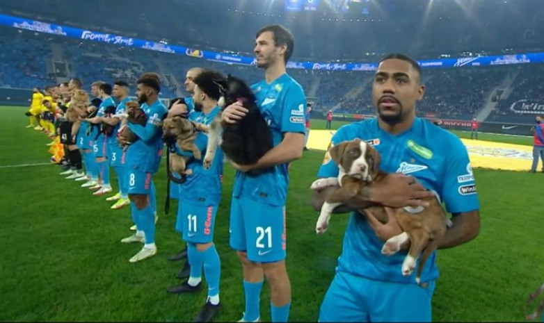 Игроки «Зенита» вышли на матч с «Ростовом» с собаками. ВИДЕО