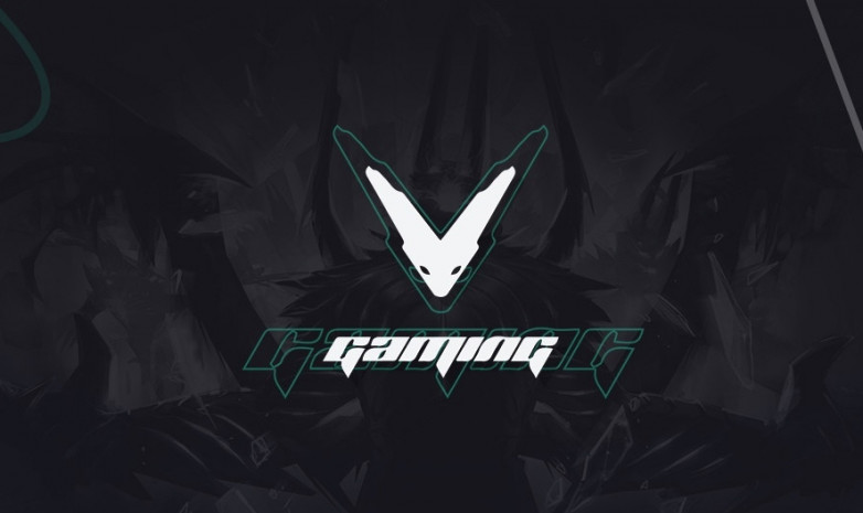 «V-Gaming» обновила состав
