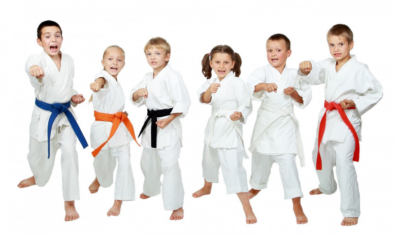 Развитие дисциплины и самоконтроля: как боевые искусства помогают воспитывать детей