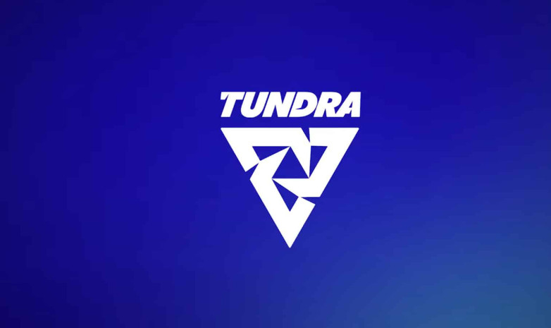 Tundra Esports представили новый состав по Dota 2