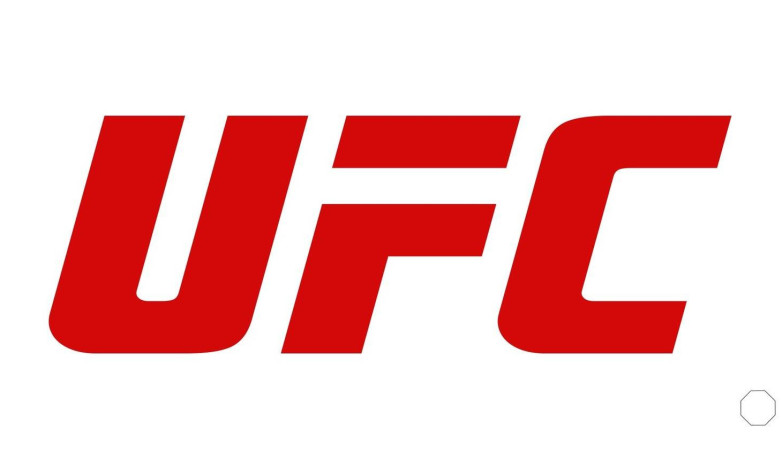 UFC. Итоги 2023: рост и развитие