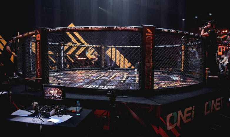Новый бойцовский промоушен UNDERDOG MMA представил второй тизер турнира Гран-при