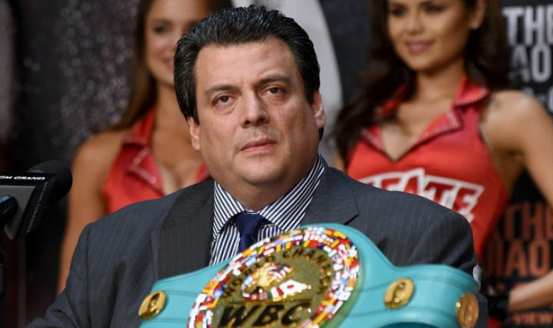 WBC обязала женщин участвовать в программе «Чистый бокс»