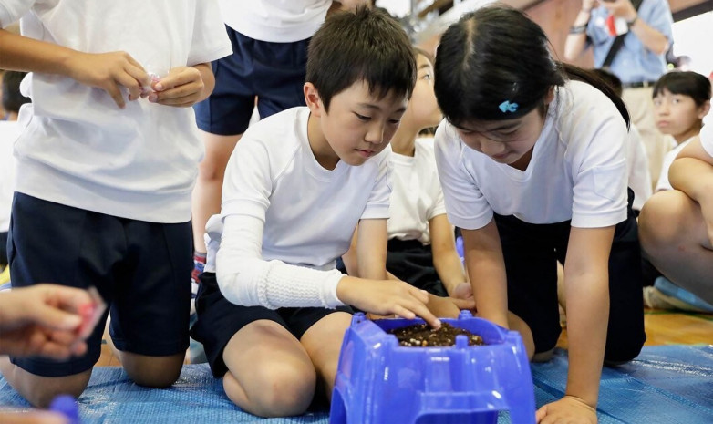 Токийские школьники вырастят цветы для Олимпийских игр