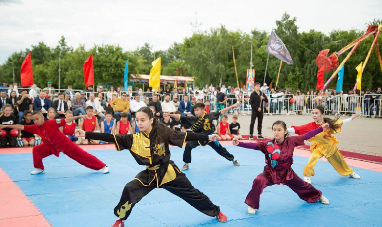 Фестиваль боевых искусств прошел в Кокшетау