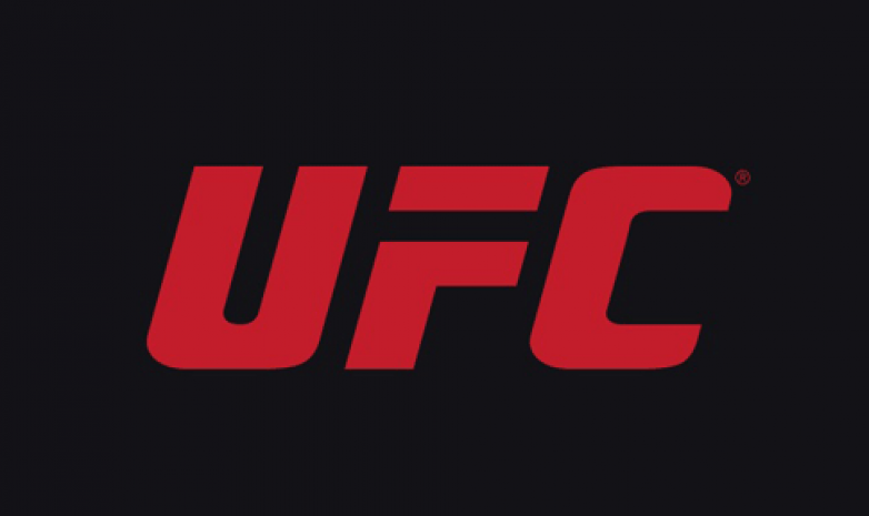 Лучшие кадры UFC 230
