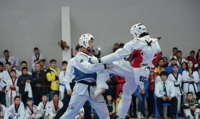 Кыргызстанские таэквондисты выиграли 19 медалей в Казахстане