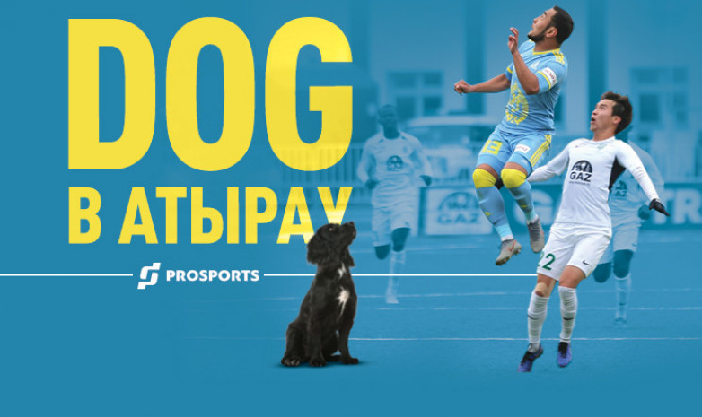 Dog в Атырау: «Астана» уничтожила соперника