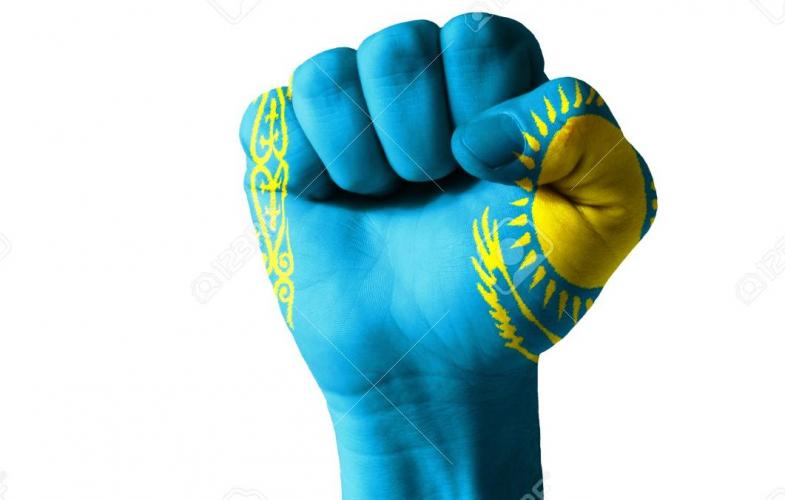 Немецкий боец ММА может выступать за Казахстан