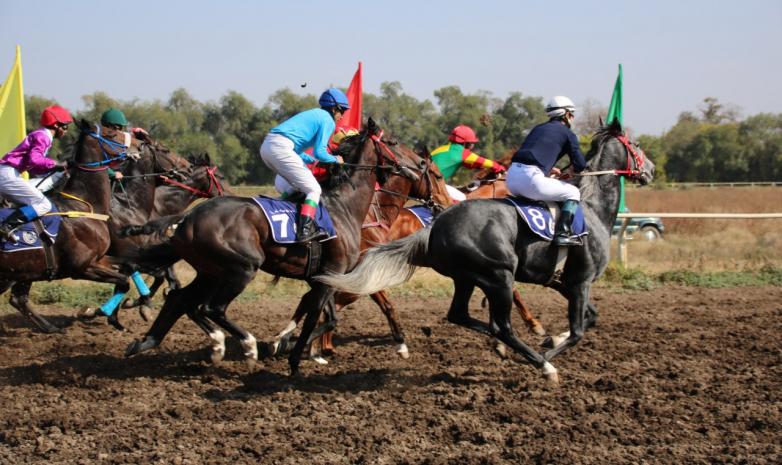 Лошадь Ислама Байрамукова выиграла кубок акима Алматы