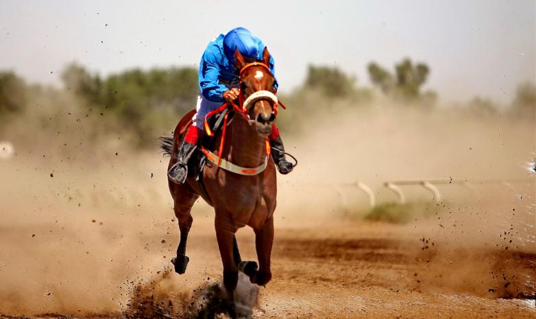 В Алматы прошли скачки среди отборных породистых лошадей