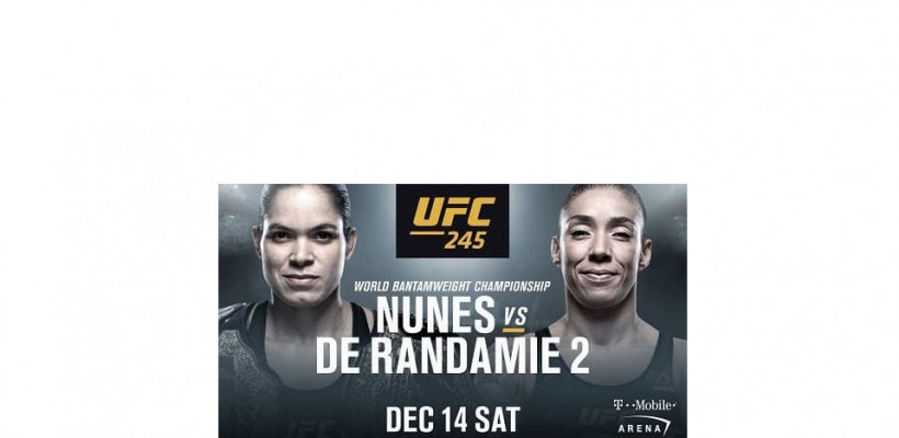  Видео запись боя Аманда Нунис против Жермейн де Рандами / UFC 245