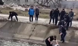 ВИДЕО. В Дагестане машина с юными спортсменами упала в канал
